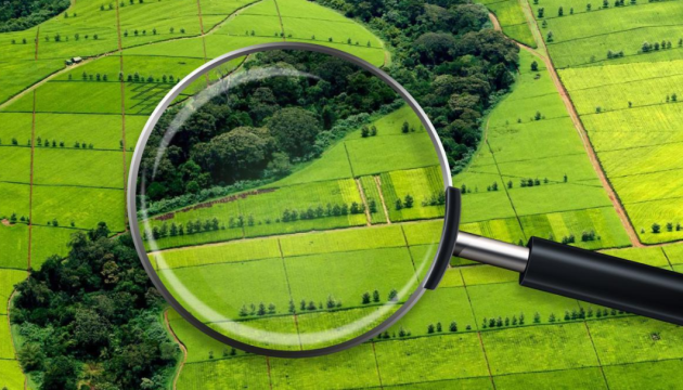 В суборенду можна взяти від 0,14 до 91,38 га державних земель 