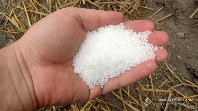 Дефіцит аміачної селітри оцінюється до 70% від потреби