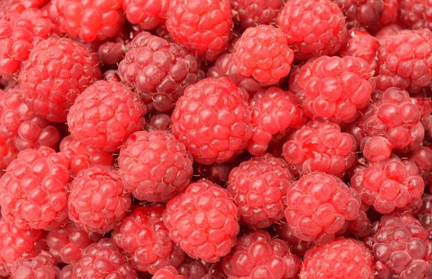 Аналітики зазначають, що в попередні роки свіжа малина з України переважно експортувалася