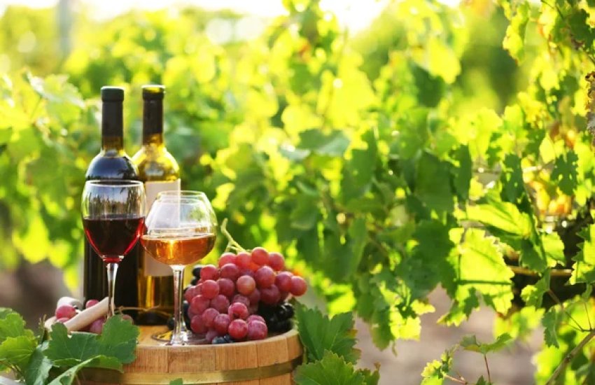 Обмеження Молдови було введено Національним агентством з безпеки харчових продуктів