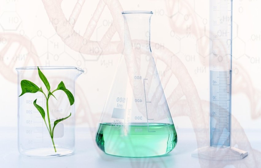 В Україні набирає чинності новий закон, який запускає обов'язкову державну реєстрацію ГМО