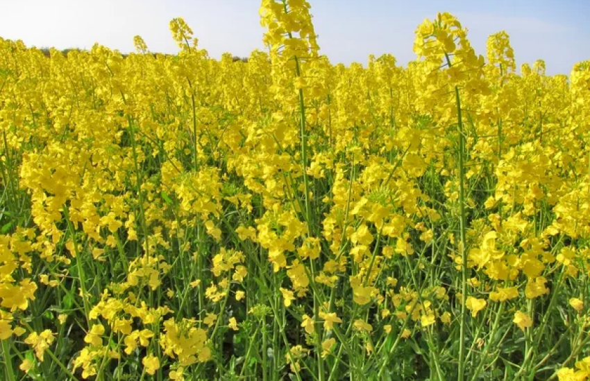 Темпи торгівлі у напрямку портів у квітні сповільнилися