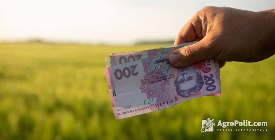 Найбільш уразливими є господарства, які не мають власних елеваторів 
